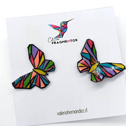 Mariposas multicolor